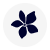 icon tbbf 3